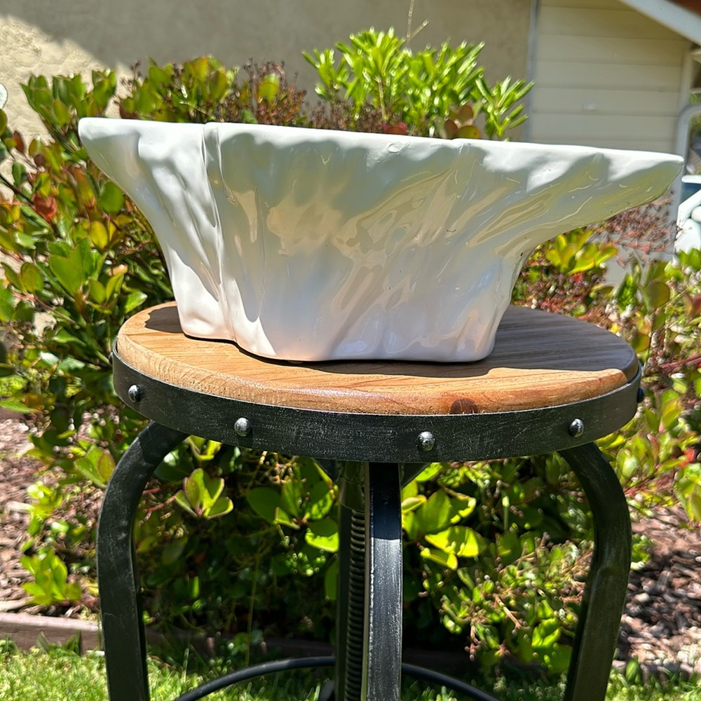 Shell vase or decor - Picture 1 of 5